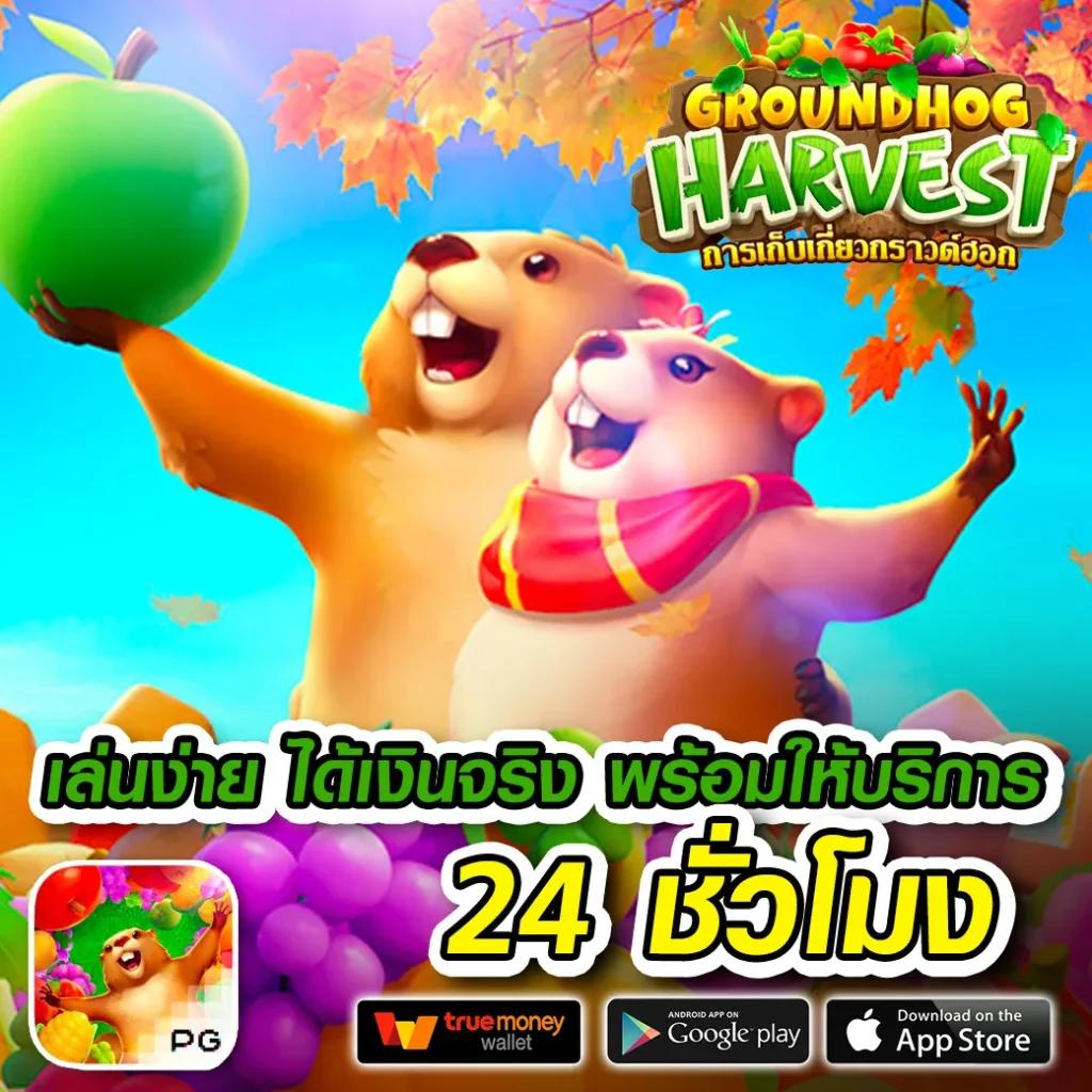 12 Win R คาสิโนออนไลน์เร้าใจ พร้อมโปรโมชั่นสุดฮิตในไทย